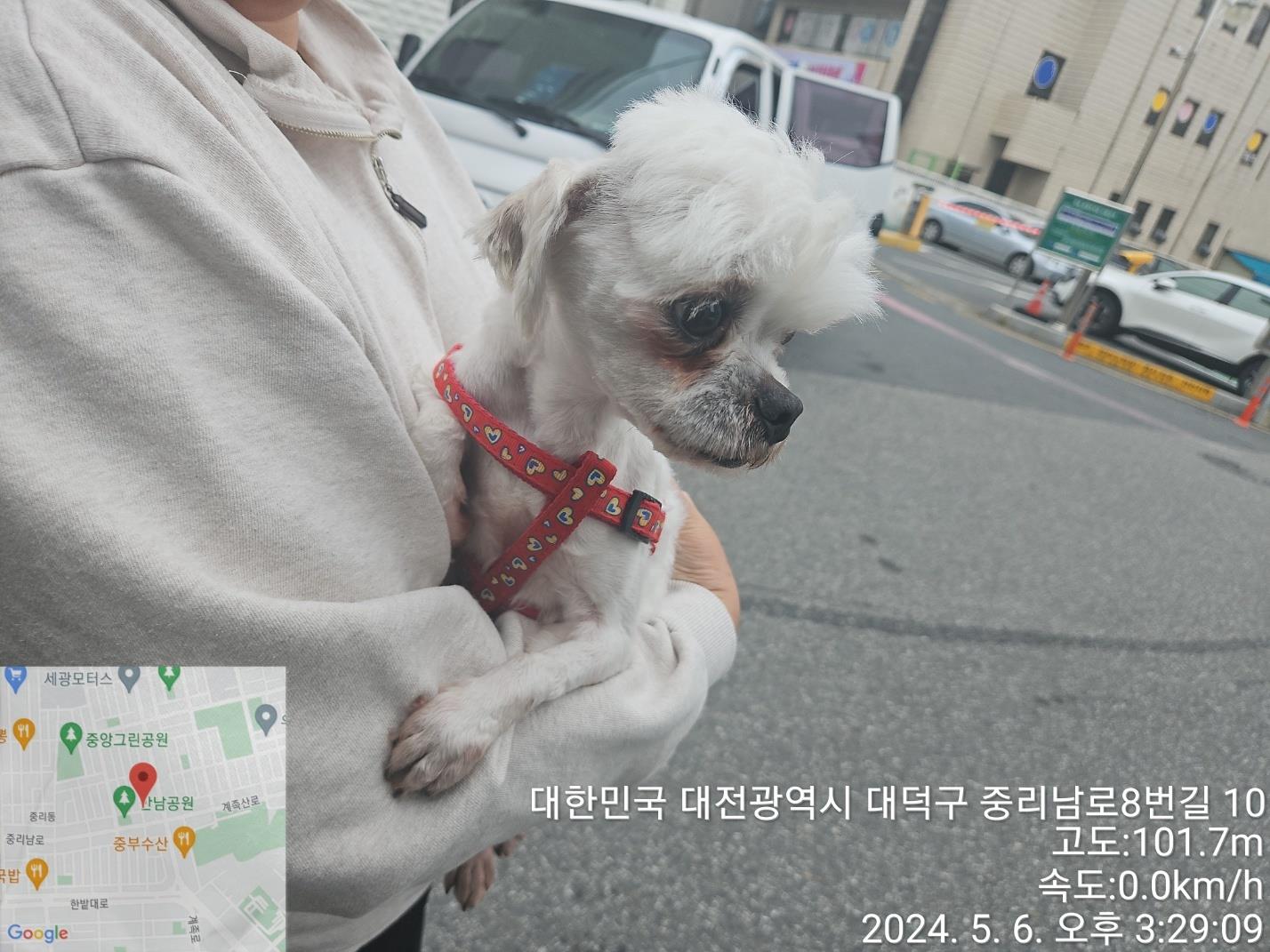 대전동물보호센터_430368202400197